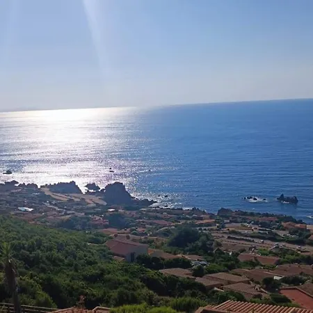 Domopirodda B53 코스타 파라디소