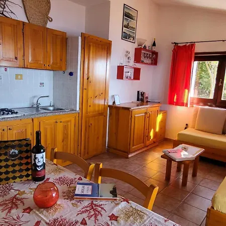 Domopirodda B53 코스타 파라디소