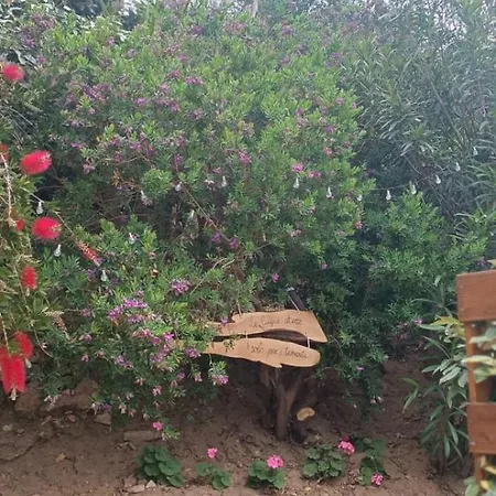 Domopirodda B53 * Costa Paradiso